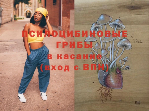 дживик Алзамай