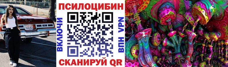 где купить наркоту  Апатиты  Галлюциногенные грибы GOLDEN TEACHER 