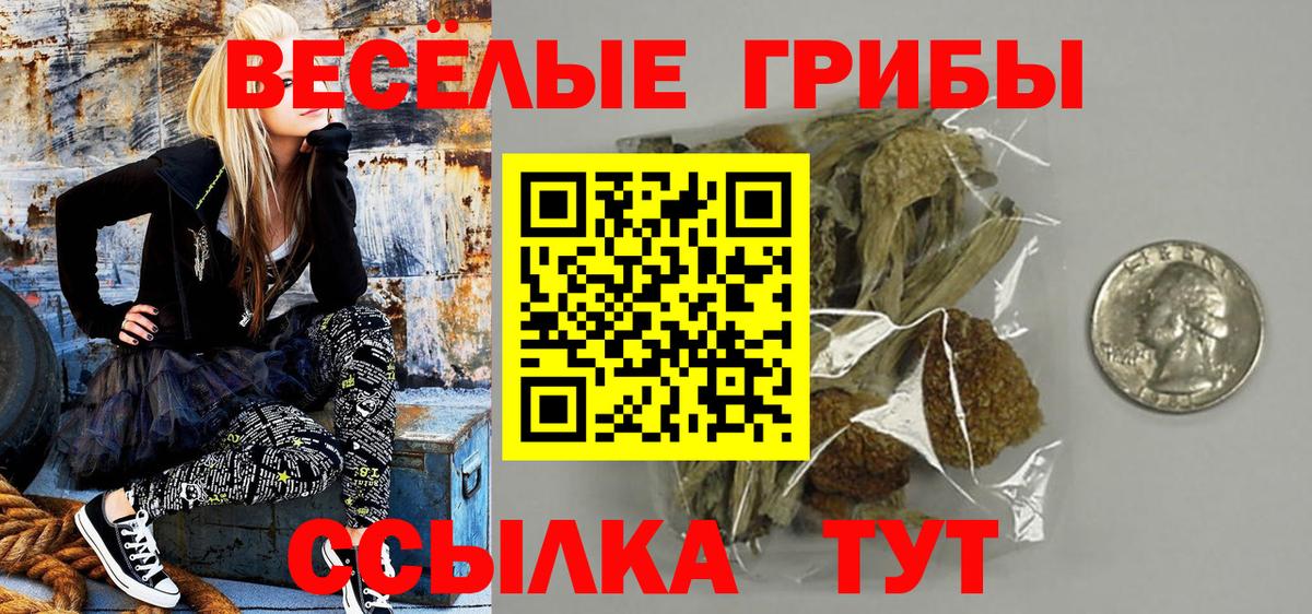 Псилоцибиновые грибы прущие грибы Апатиты