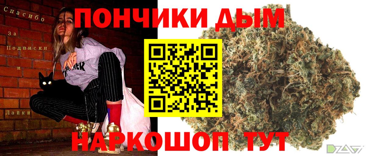 Бошки Шишки план Апатиты